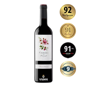 Alvaro Palacios, Camins del Priorat