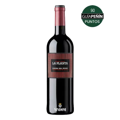 Bodegas Arzuaga Navarro, La Planta, Ribera del Duero