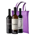 De Wijntas, Bodegas Alceño, Bomba, 3 Super Wijnen uit Jumilla