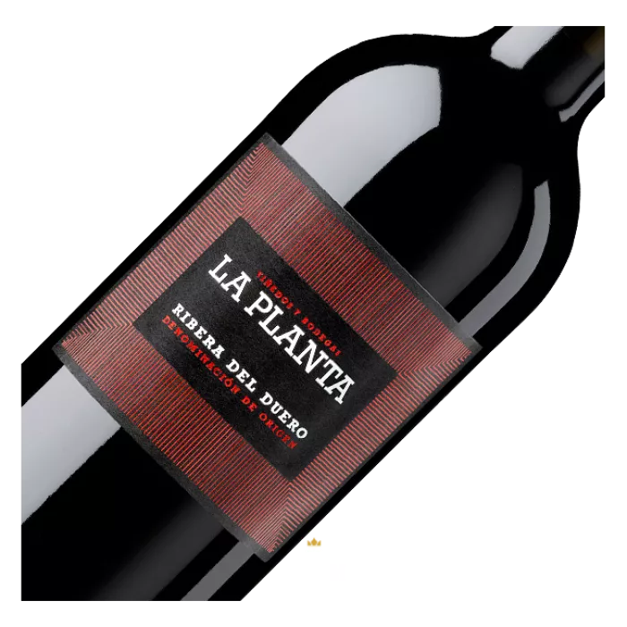 Bodegas Arzuaga Navarro, La Planta, Ribera del Duero