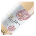 Cantina Tollo, Gufo, Pinot Grigio, Blush