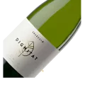 Josep Masachs, Dignitat, Cava, Brut Seleccio