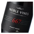 Noble Vines, 667, Pinot Noir