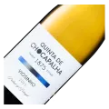 Quinta de Chocapalha, Viosinho, 2023