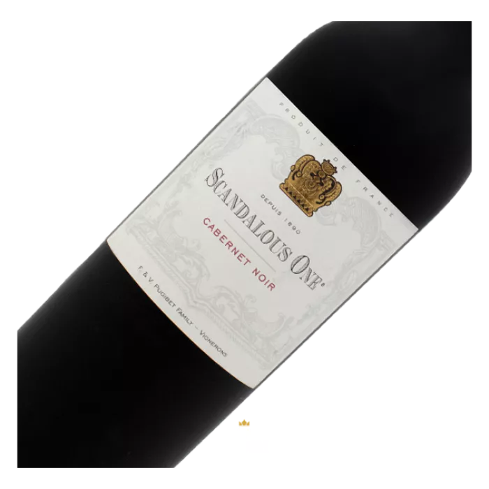 Scandalous One, Cabernet Noir, 2024