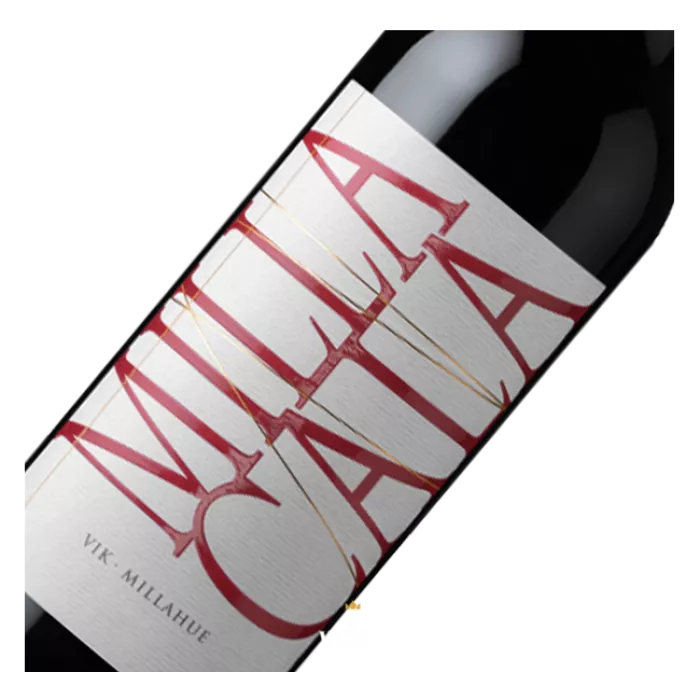 Viña Vik, Milla Cala, Cachapoal Valley