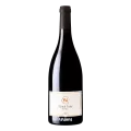 Wijngaard Kötter, Pinot Noir, Barrique, 2024