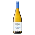 Quinta de Chocapalha, Viosinho, 2023