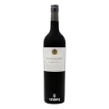 Scandalous One, Cabernet Noir, 2024